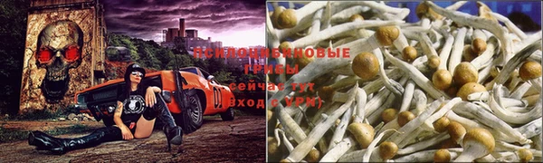 марки lsd Абинск