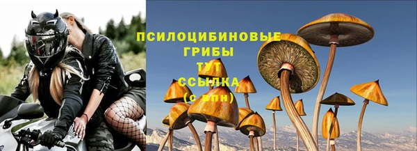 герыч Майский