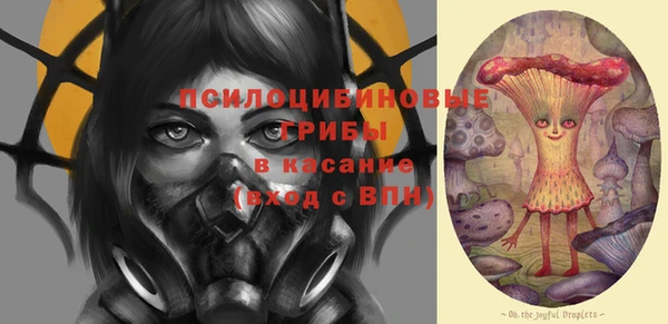 индика Алексеевка