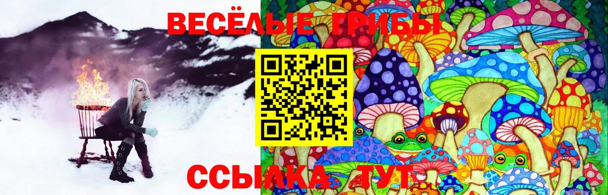Псилоцибиновые грибы GOLDEN TEACHER  Псилоцибиновые грибы мухоморы  цена   Оренбург  Вход с VPN 